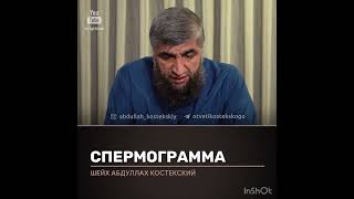 Спермограмма (костекский)