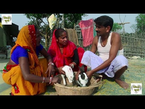 रामलाल के Chinese बकरी बचा || RAMLAL || FULMATIYA || MAITHILI COMEDY || MAITHILI KHUSHI