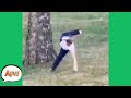 OOF! That Didn't End Well! 😅 | Funny Fails | AFV 2021