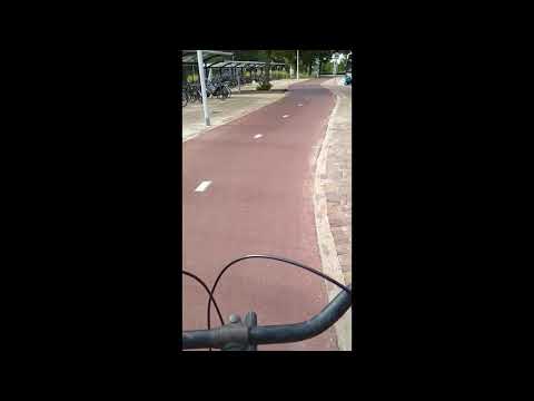 Waddinxveen, Netherlands, 06-2018 (1)