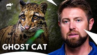 Forrest Galante in Search of Clouded Leopard & White Wolf | Extinct Or Alive S1 E1, 2| Animal Planet