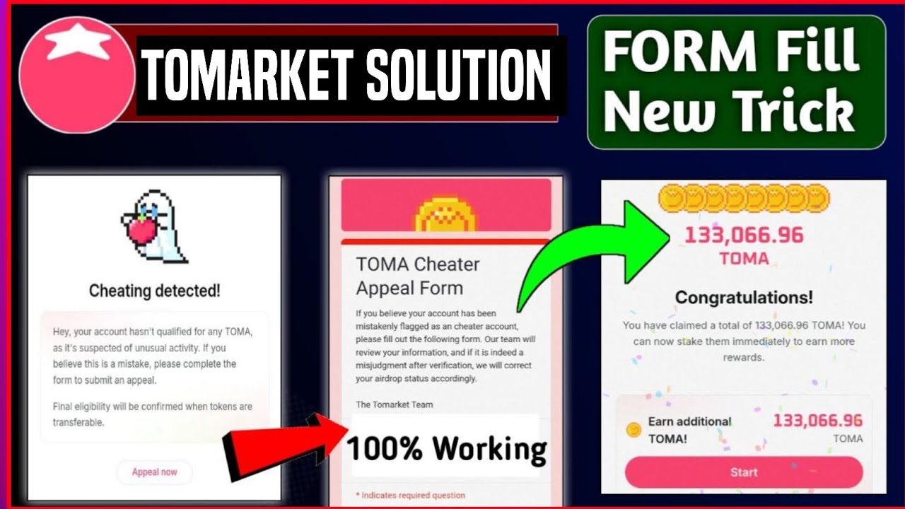 Tomarket Chitting is Bad Solution 100% Work | Toma Cheater Appeal Form Guide Step by step