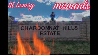 Lil Bonesy -Moments
