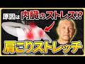 【9割知らない】肩こりの痛みに関わる最悪の食習慣と身体ストレッチ