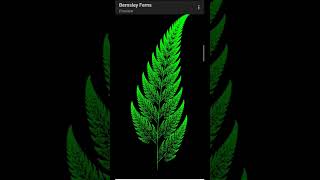 Bernsley Fern Using Javascript p5js library #javascript #python