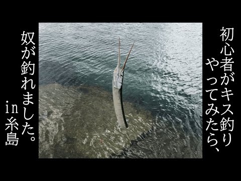 大入漁港　キス釣り　2022/6/15