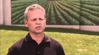 Ashe County Cheese Co