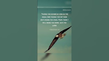 The truth about Life Navigating its Realities Inspiring quotes