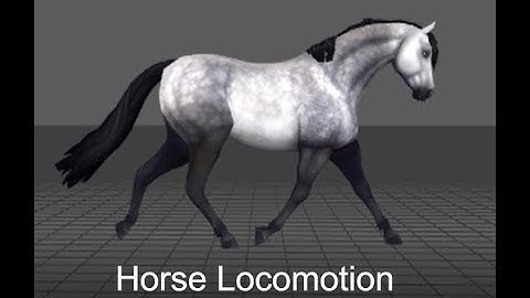 Horse Locomotion Animation  - Erik Arrhenius