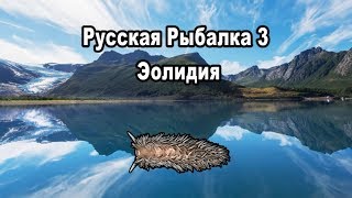 Русская Рыбалка 3 (Russian Fishing). Эолидия (квест 