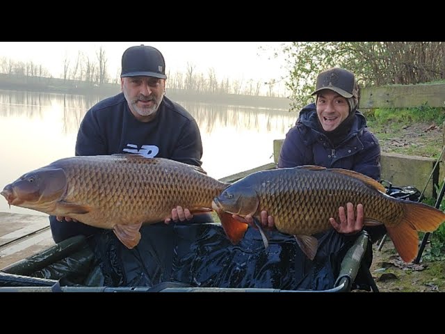 COPPIA MULINELLI SHIMANO 6010 AERO GT BAITRUNNER Carpa Barbel Tench