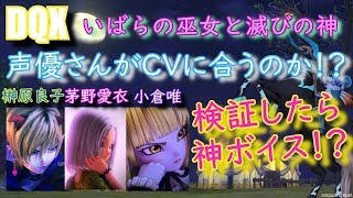 ドラゴンクエスト10実況 いばらの巫女と滅びの神 気になる 声優さんの声はキャラ合うのか 実際にcvと声優あてはめてみた Allblue実況 Youtube