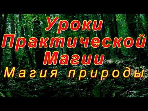 Видео: Как да намерим модула на получените сили