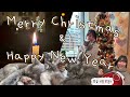 미국대학원 첫 겨울방학 |🎄개냥이와 성탄절&amp;새해 카운트다운🐱/새해 맞이 마음과 키워드 공유/동문회..경험😳/드디어 밥솥이🍚/마라샹궈,김치찜,푸라닭 따라잡기🙄/한국과의 밀린 줌콜..