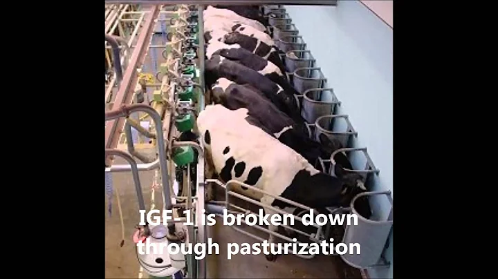 The Truth About rBST -Video1