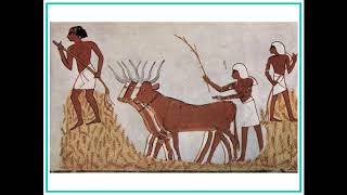 Egytologist  Ancient Egyptian Trade Routes   Video