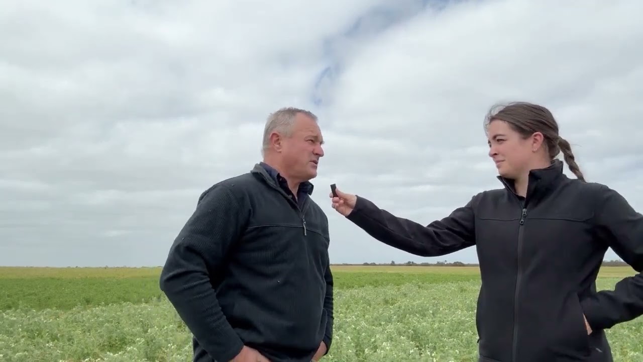 Minnipa Break Crops Demo 2025