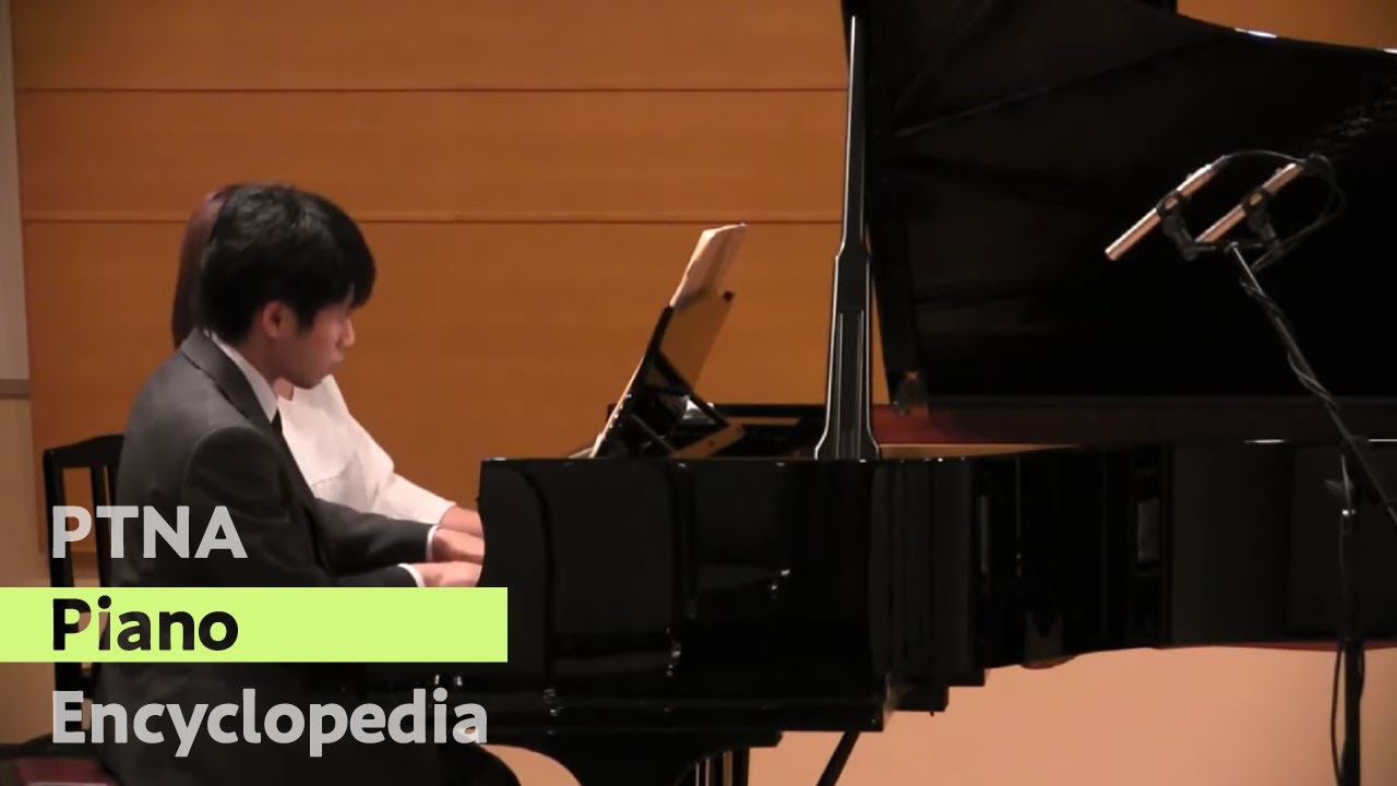 Tainaka Takuya & Nakagawa Kyoko / Brahms - 16 Walzer No.11 Op.39