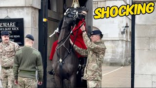 King’s Guard Horse Goes Super Crazy 🥺