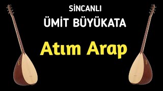 Sincanlı Ümit Büyükata - Atım Arap Resimi