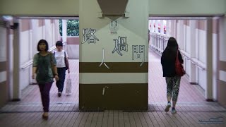 路過人間 (from 我們與惡的距離 / Violin Guitar Duet) - 郁可唯