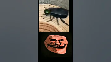 Song In Comments Beetle Override Kslvnoh Phonk Trollge 