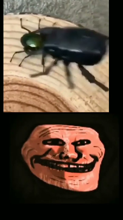 🙃🙃 (Song in comments) #beetle #override #kslvnoh#phonk #trollge