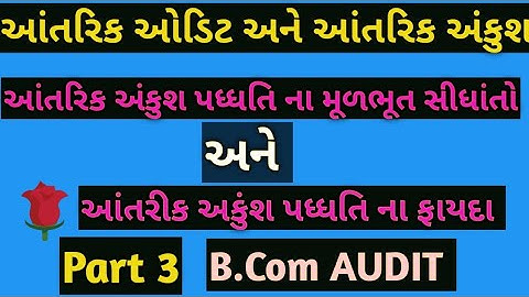S.Y.B.Com| Auditing (Gujarati) | આંતરિક આેડિટ, આંતરિક અંકુશ અને વાઉંચિગ | lecture 3