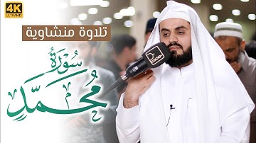 تلاوة منشاوية عطرة لسورة محمد | القارئ رعد الكردي