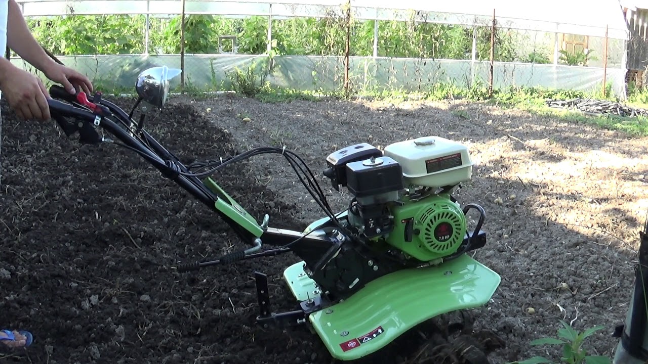 Pregatire teren pentru a cultiva varza/Motocultor WM 900