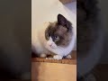 He Only Pretends to be Interesting