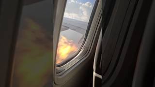 Bird strike causes plane engine to catch fire