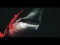 Steve altens where sea monsters roam 2020 exclusive trailer  seamonstercovecom