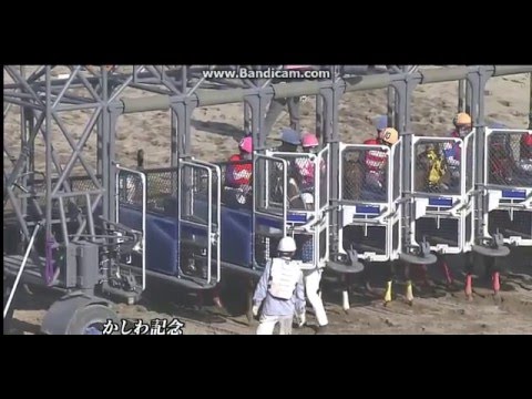 かしわ記念2016　コパノリッキー　武豊