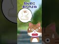 【2ちゃんねる】大福を食べていたら猫がじーっと見つめてきた【2ch面白いスレ】#Shorts