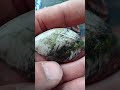 Doğanın İzlerini Taşıyan Ağaç Opalı | Dendritic Opal with Natural Patterns