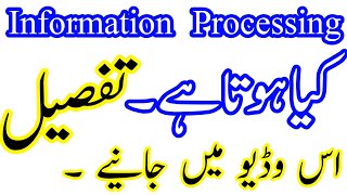 What is Information Processing