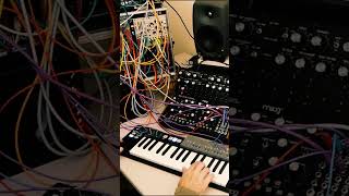 The Overview Effect | Eurorack, OP-Z &amp; Ableton Live #electronicmusic  #ambientmusic