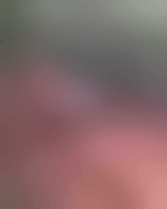 mobil jeep yg viral Di tiktok