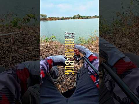 พูดได้คำเดียวว่า โอ้โห😲 คัน #SNSLIGHTBAIT #HEADBUG #ตกปลาช่อน #น้าเบียร์88