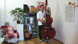 Ziemowit Klimek - Percussive Double Bass Solo at home
