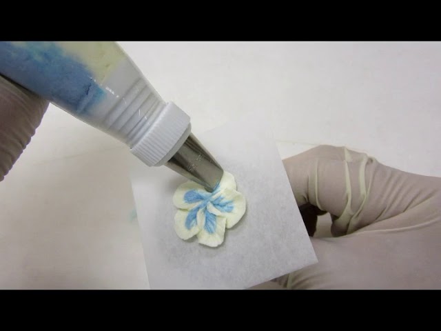 花びらの作り方 バタークリームでパンジーを絞る Youtube 花びらの作り方 バタークリームでパンジーを絞る Youtube