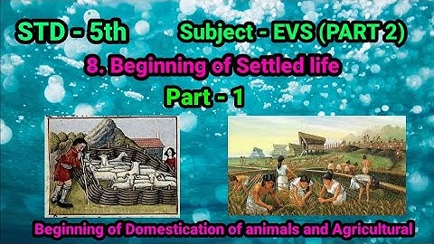 STD 5th | EVS PART 2 Environmental Studies part 2 | 8. Beginning of Settled life | English medium