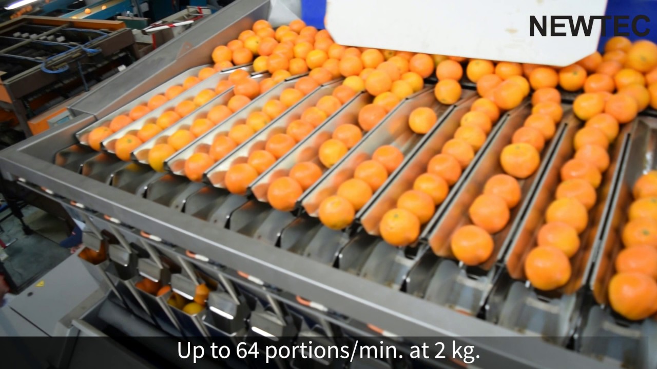 Newtec Weighing Machine, Model 4012B2