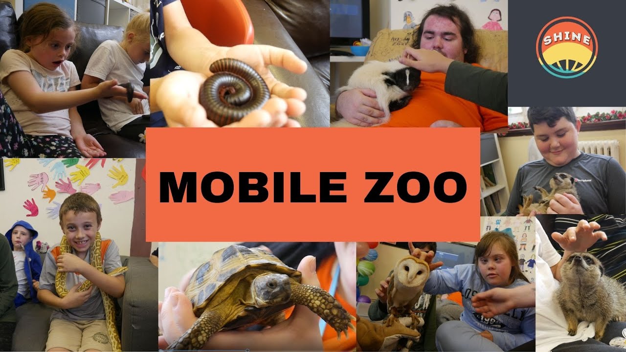 MOBILE ZOO MONTAGE