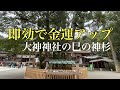 【即効金運アップ／お金の流れ】大神神社の巳の神杉　#shorts