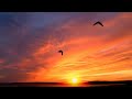 "Oasis of Serenity - Relaxing Music to Soothe the Soul"