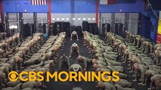 Push-up challenge hopes to help stop military suicides