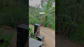 skj Pro  Sendang Tulungagung 