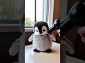 My baby penguin takes a bath 🤤 #babypenguin #penguinbaby #cuteanimals #animalshorts #animalbabies